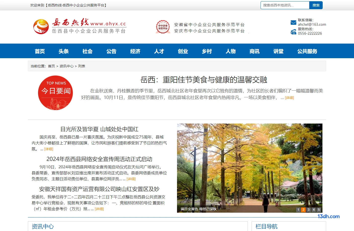 岳西热线_