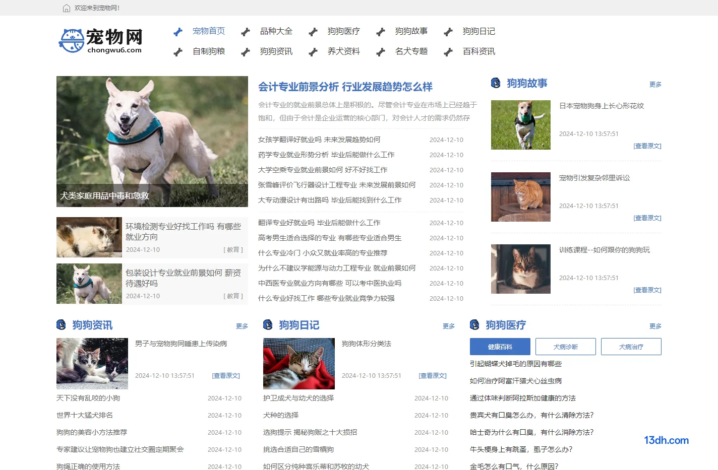 宠物狗