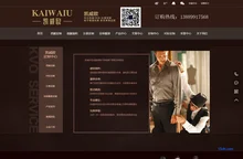 深圳凯威欧实业有限公司