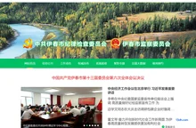 伊春市纪委监委