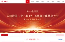 五粮液集团