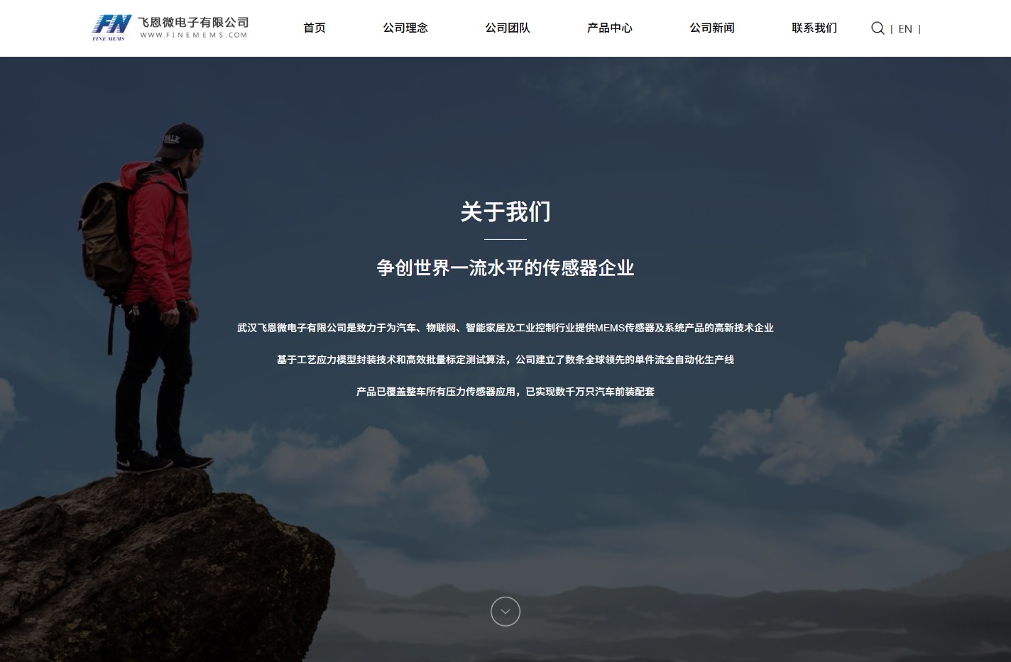 飞恩微电子有限公司