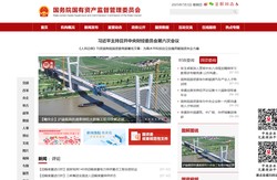 国务院国有资产监督管理委员会