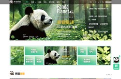 熊猫频道_央视网