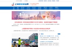 上海政法综治网