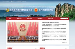 临沂市纪委监委网站