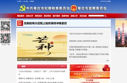 枣庄市纪委监委网站