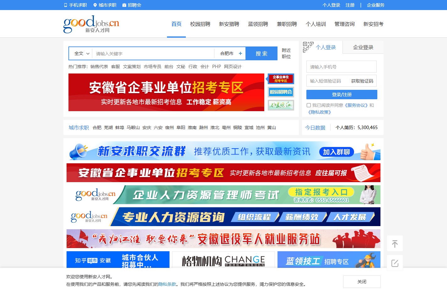 新安人才网