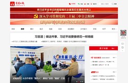 重庆日报
