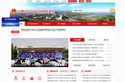 大武口区人民政府