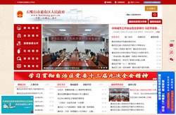 石嘴山市惠农区人民政府门户网站